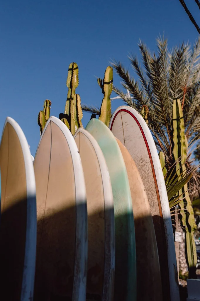 Surfboard rental Tamraght
